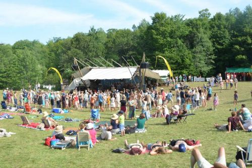 The Blue Skies Music Festival is cancelled for 2021, but Blue Skies in the Community is helping musicians by providing one time grants.